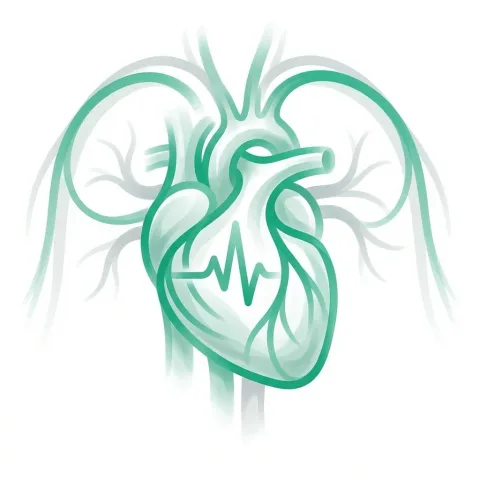 Nutrición Cardiovascular